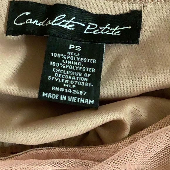 Candalite Size Petite Small Blush Mesh Hombre Style Dress. Preloved - Picture 7 of 9